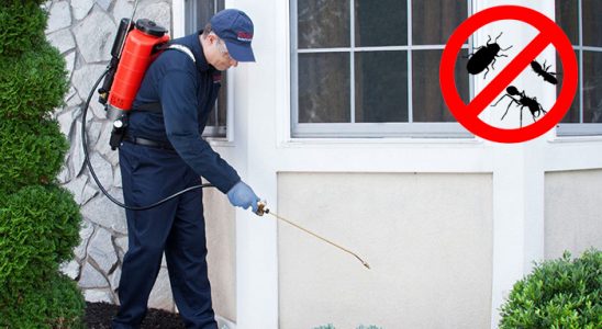 Muratpaşa Akrep İlaçlama böcek ilaçlama ve haşere kontrolü — ilaclama-tr.com